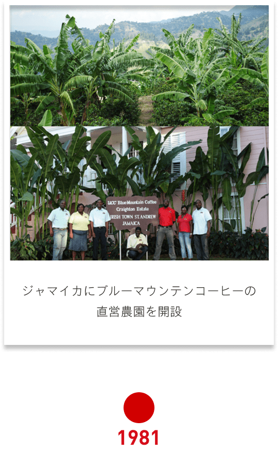 1981 ジャマイカにブルーマウンテンコーヒーの直営農園を開設