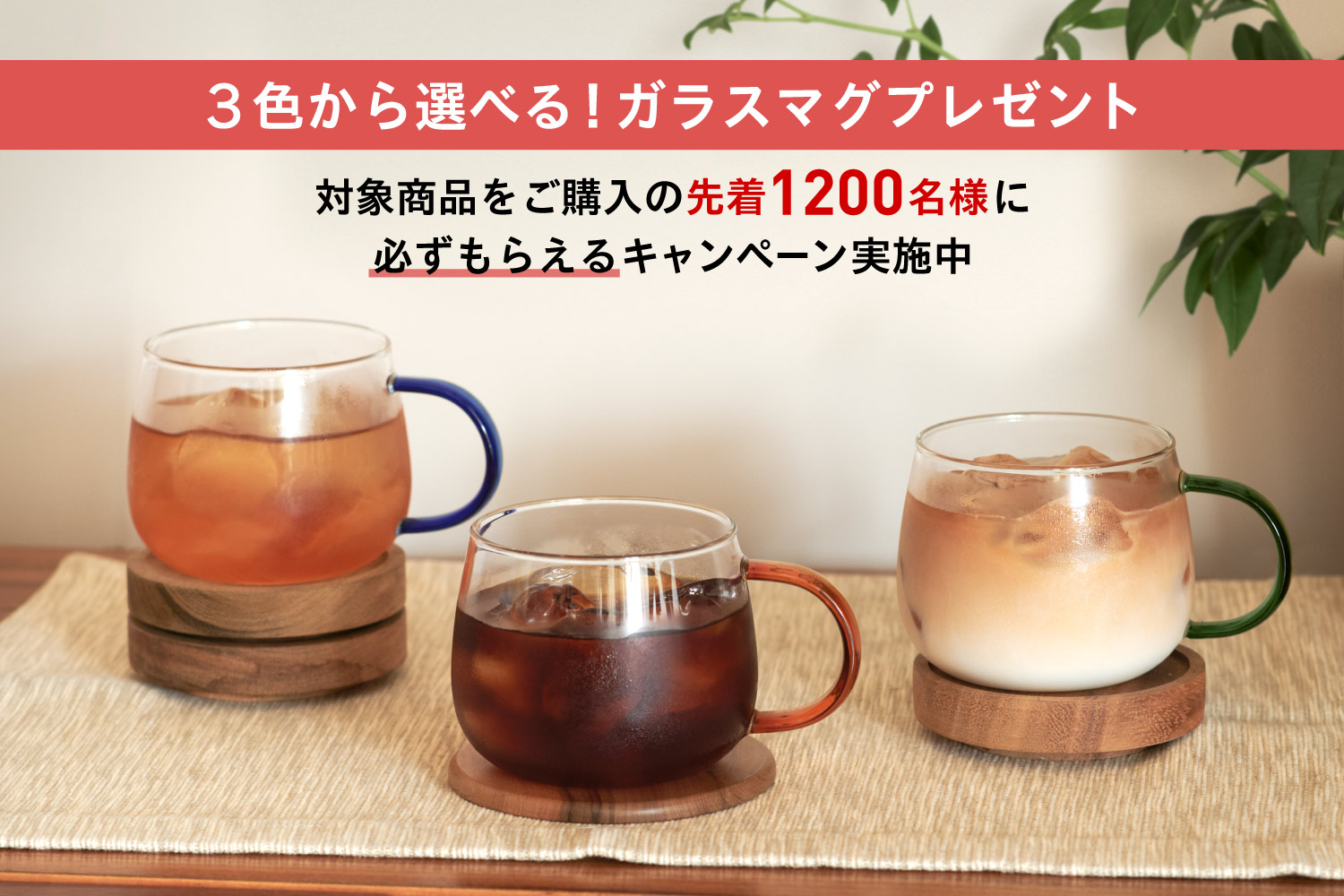 3色から選べる！ガラスマグプレゼント​