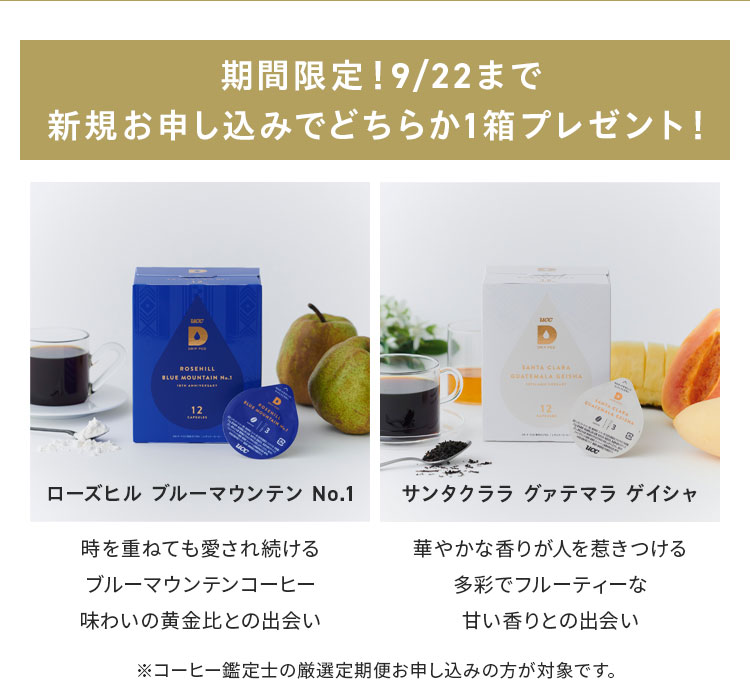 商品イメージ